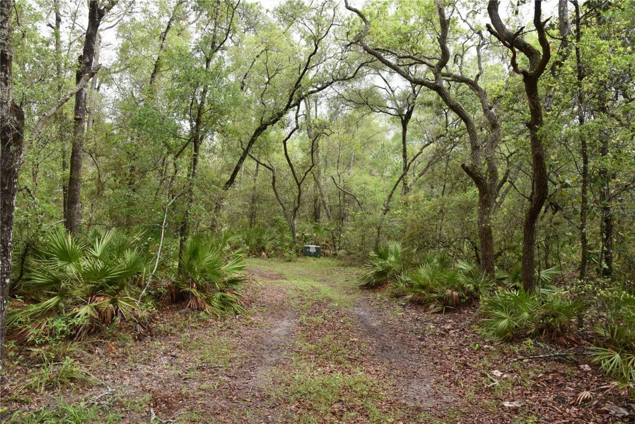 8650 NW 136th Avenue, Chiefland, FL 32626 Photo