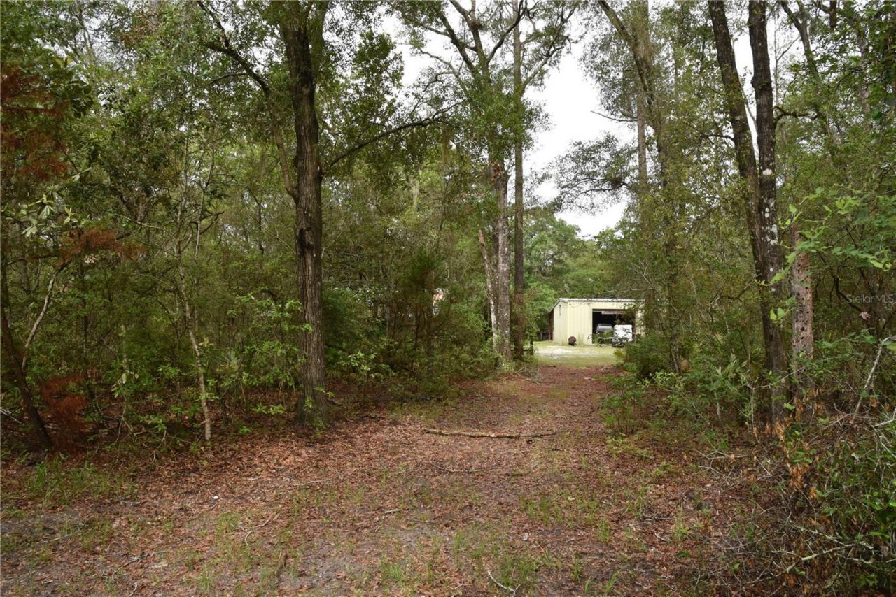 8650 NW 136th Avenue, Chiefland, FL 32626 Photo