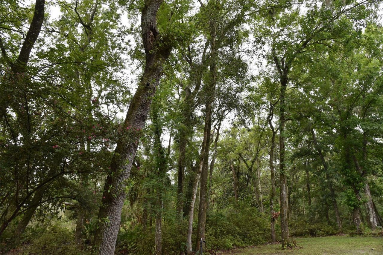8650 NW 136th Avenue, Chiefland, FL 32626 Photo