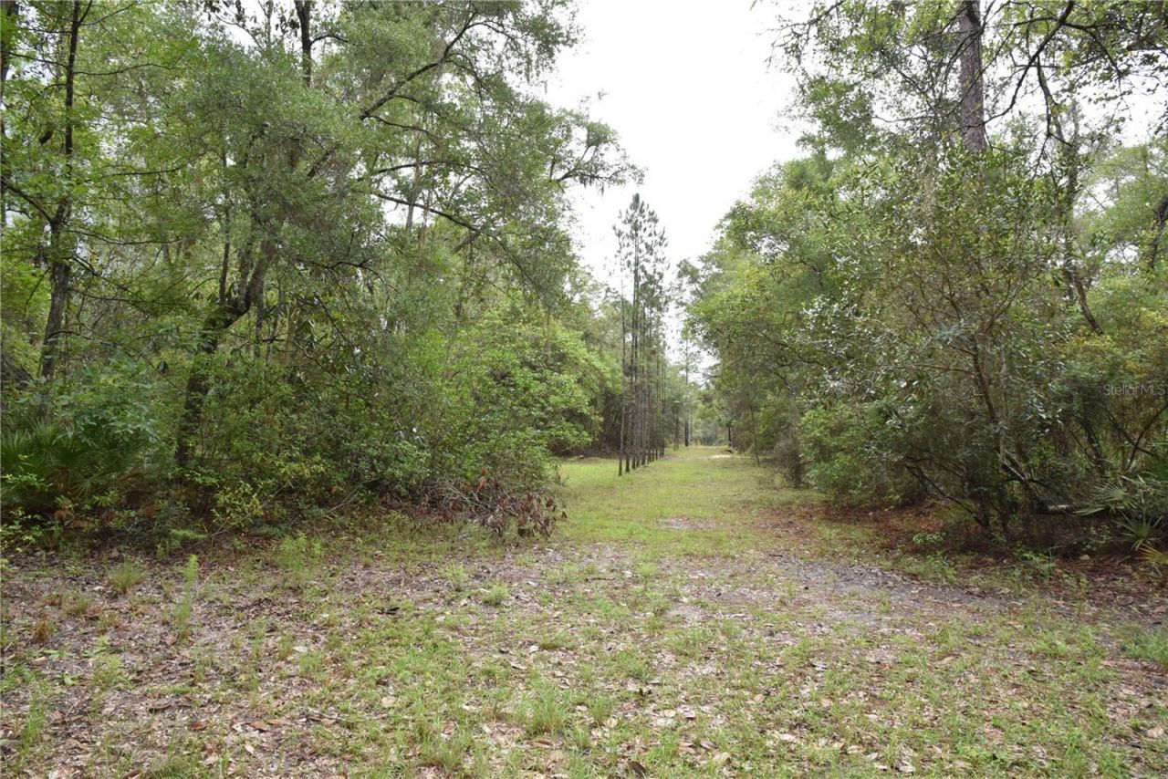 8650 NW 136th Avenue, Chiefland, FL 32626 Photo