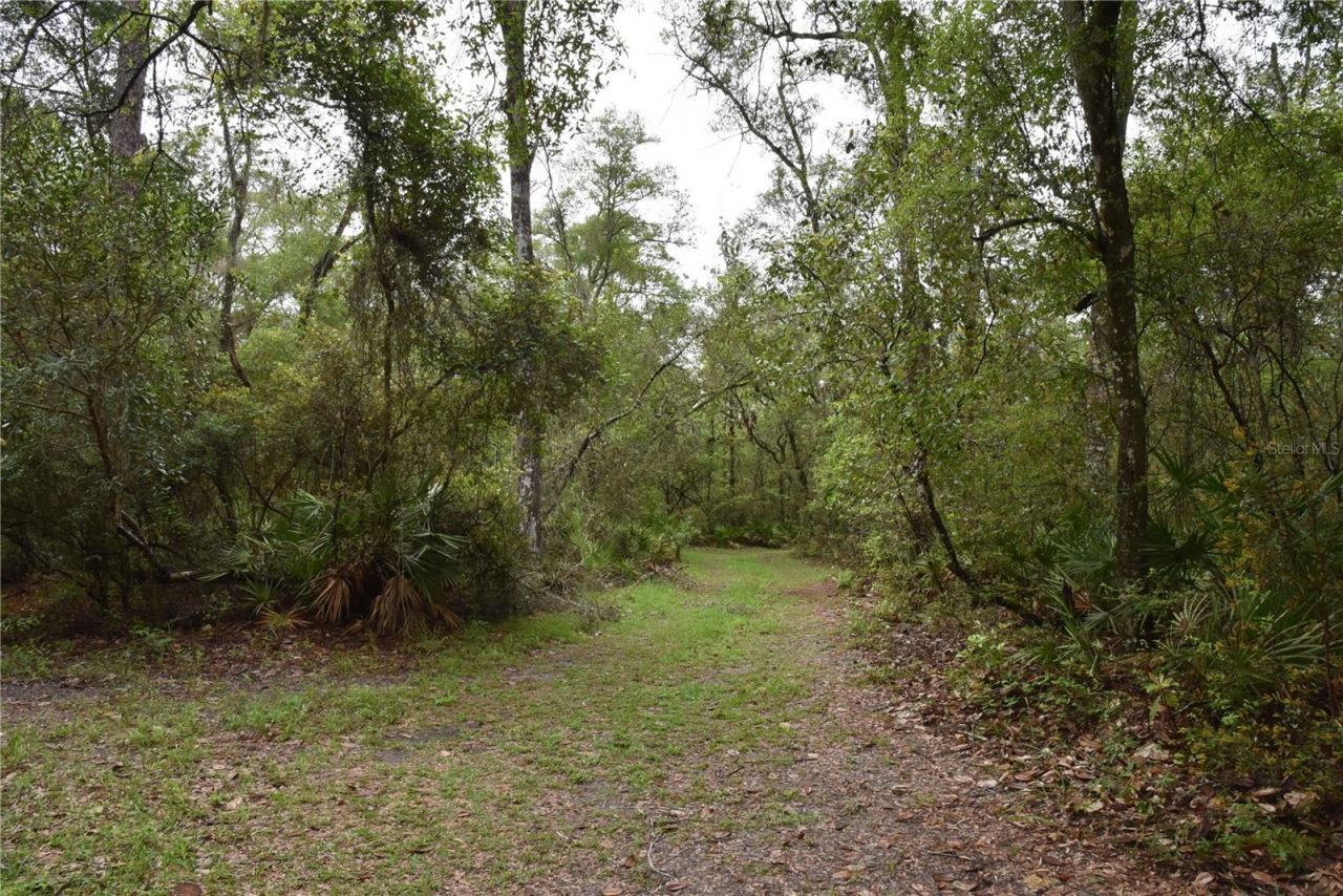 8650 NW 136th Avenue, Chiefland, FL 32626 Photo