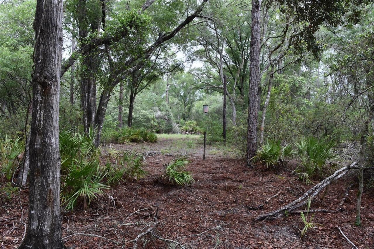 8650 NW 136th Avenue, Chiefland, FL 32626 Photo