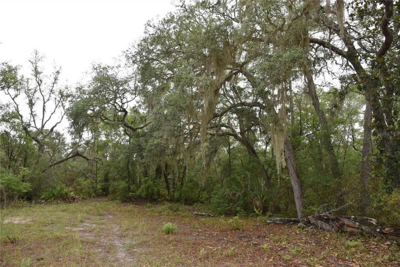8650 NW 136th Avenue, Chiefland, FL 32626 Photo