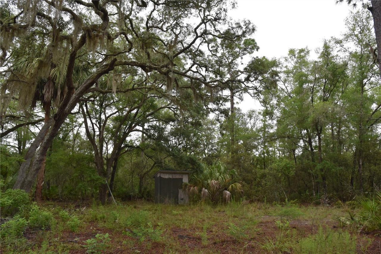8650 NW 136th Avenue, Chiefland, FL 32626 Photo