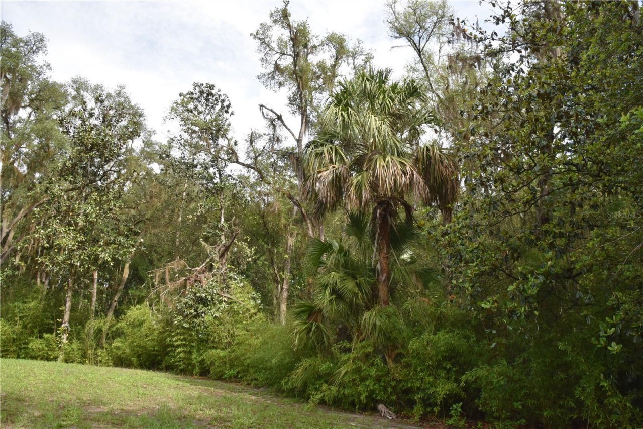 8650 NW 136th Avenue, Chiefland, FL 32626 Photo