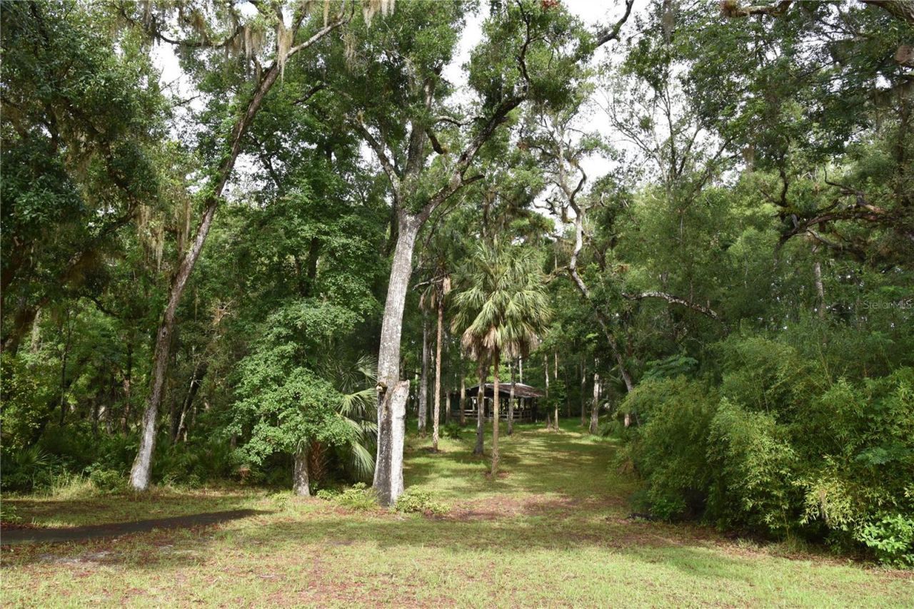 8650 NW 136th Avenue, Chiefland, FL 32626 Photo