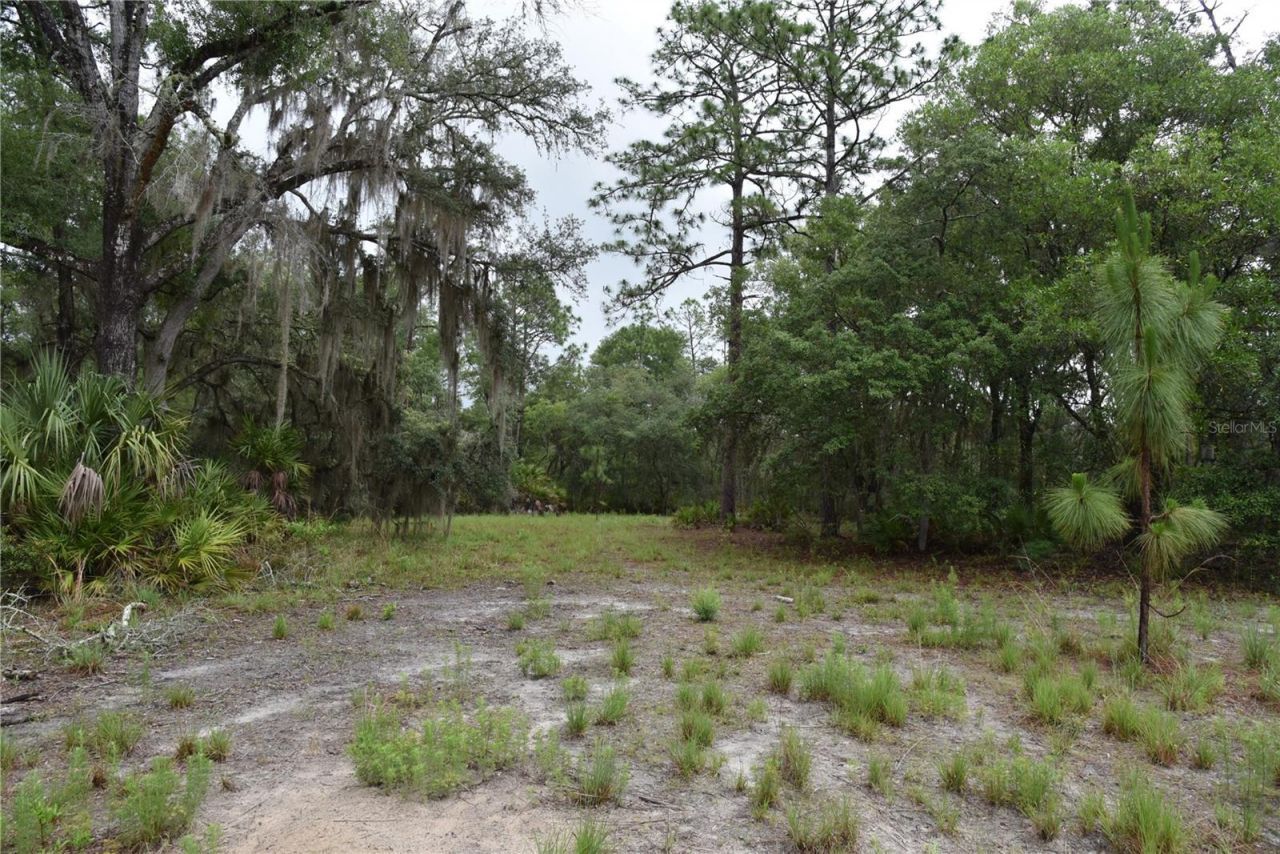 8650 NW 136th Avenue, Chiefland, FL 32626 Photo