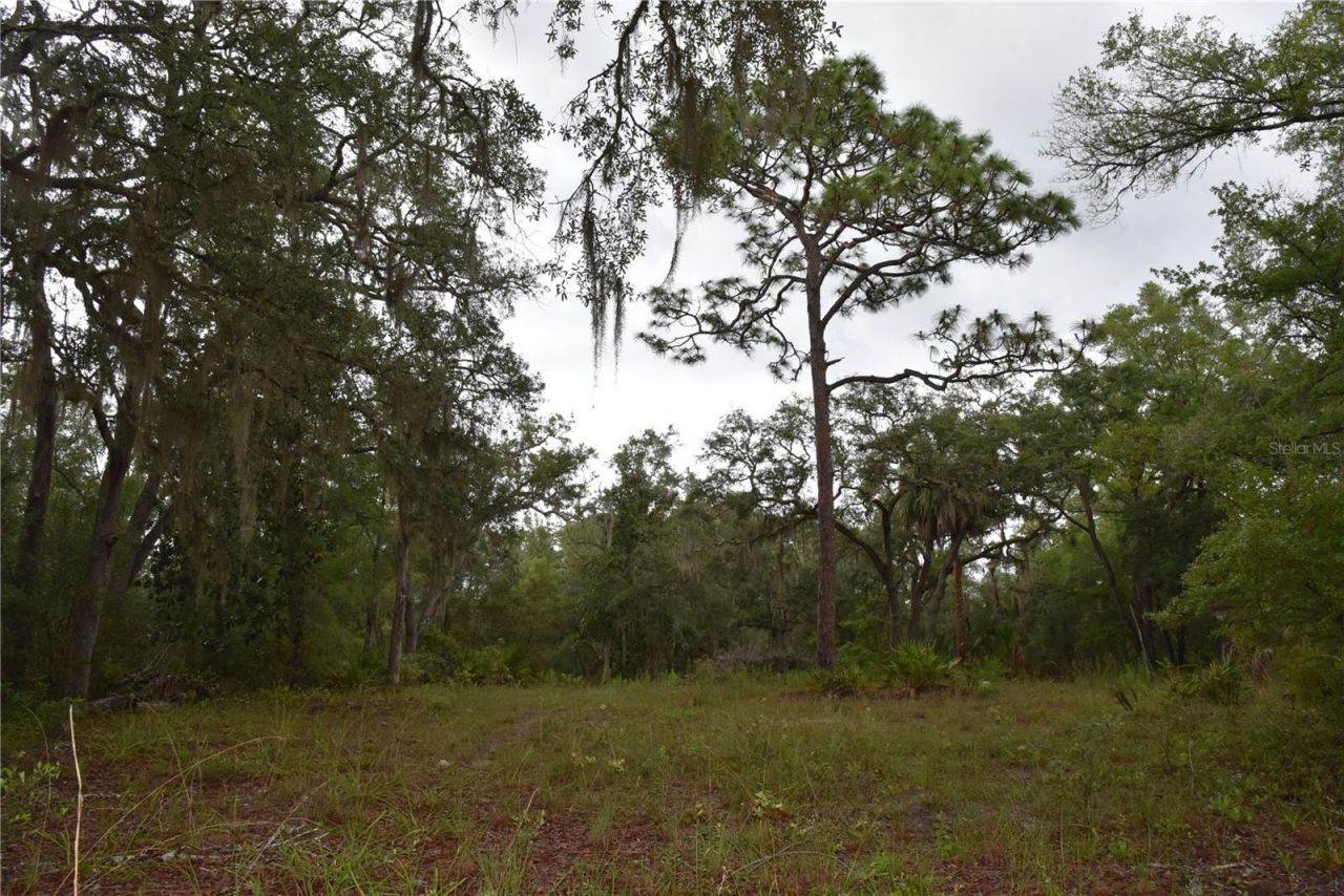 8650 NW 136th Avenue, Chiefland, FL 32626 Photo