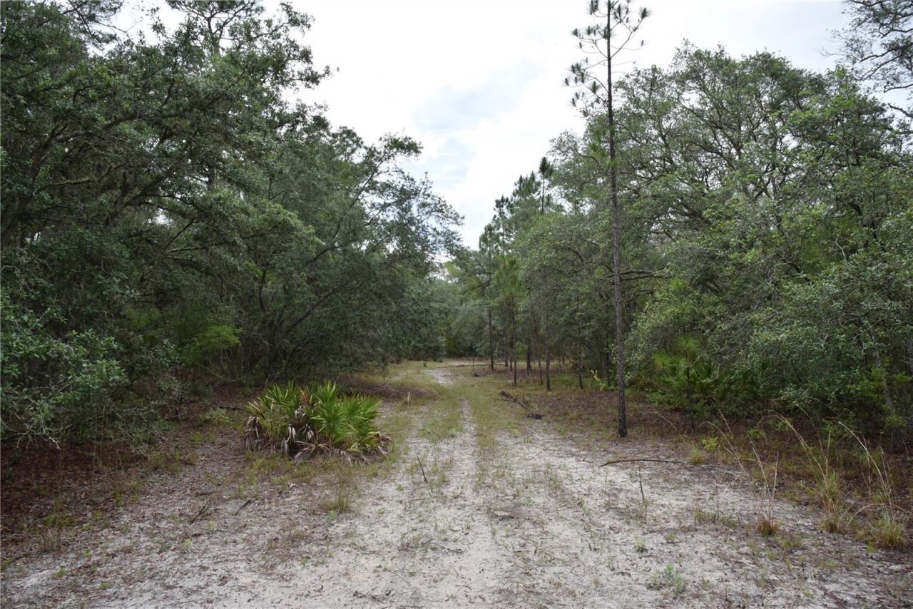 8650 NW 136th Avenue, Chiefland, FL 32626 Photo