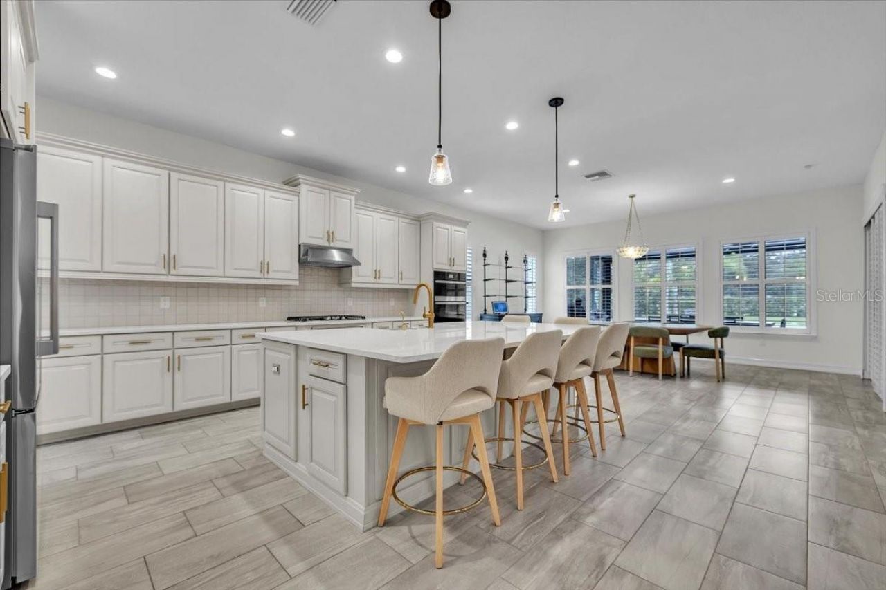 17923 Barn Close Drive, Lutz, FL 33559 Photo