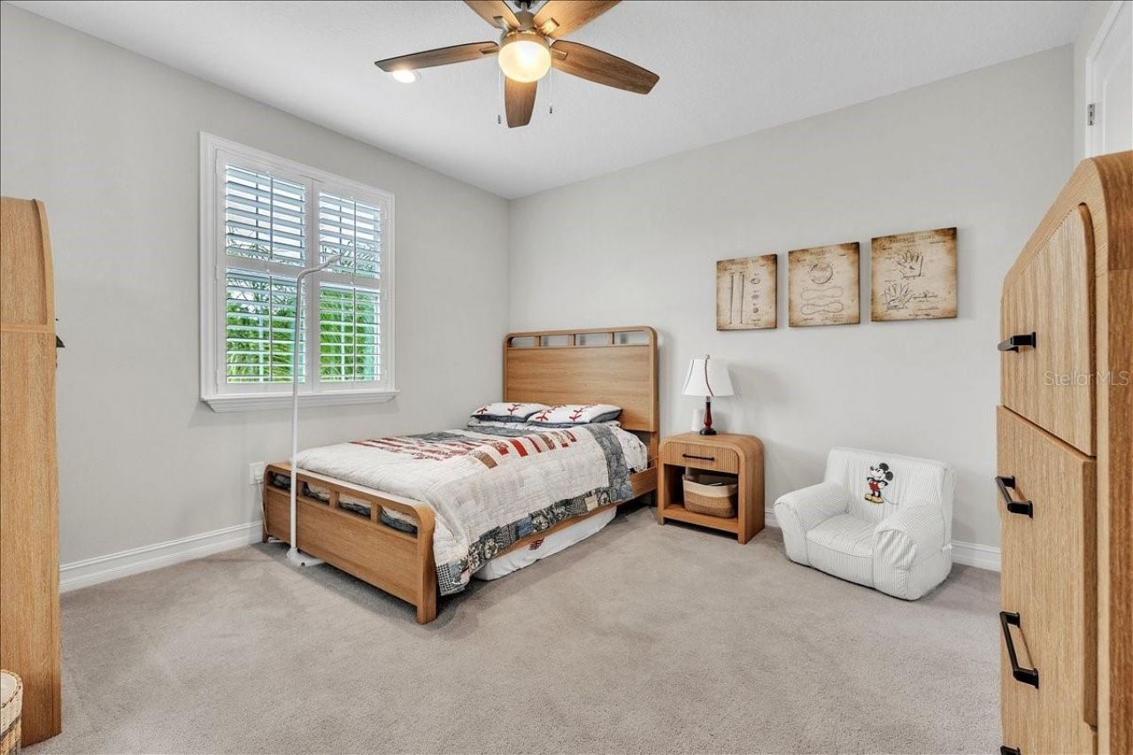 17923 Barn Close Drive, Lutz, FL 33559 Photo