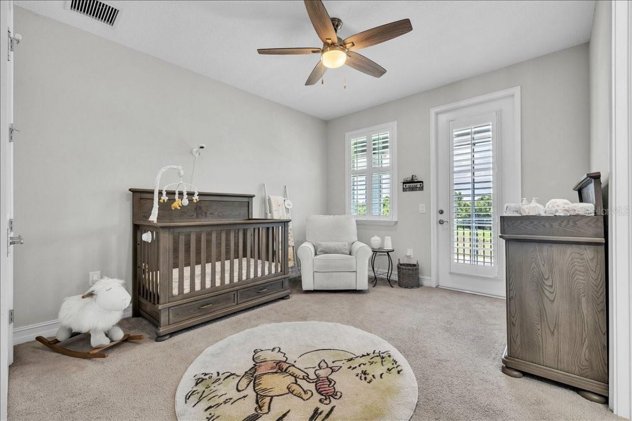 17923 Barn Close Drive, Lutz, FL 33559 Photo