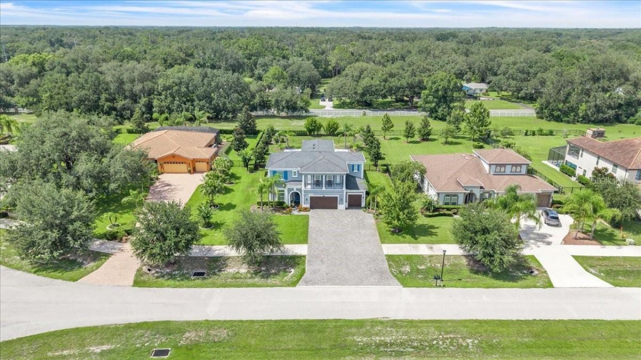 17923 Barn Close Drive, Lutz, FL 33559 Photo