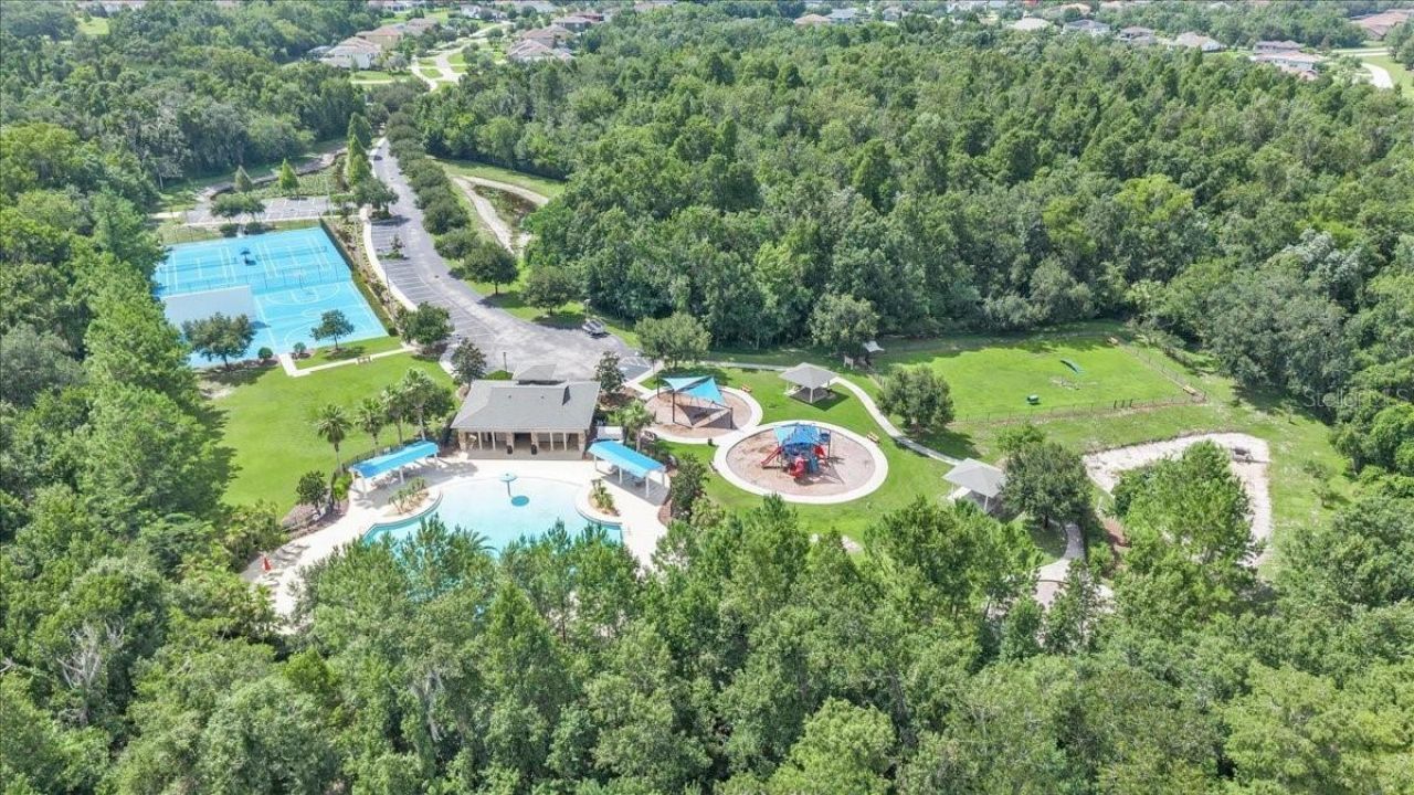 17923 Barn Close Drive, Lutz, FL 33559 Photo