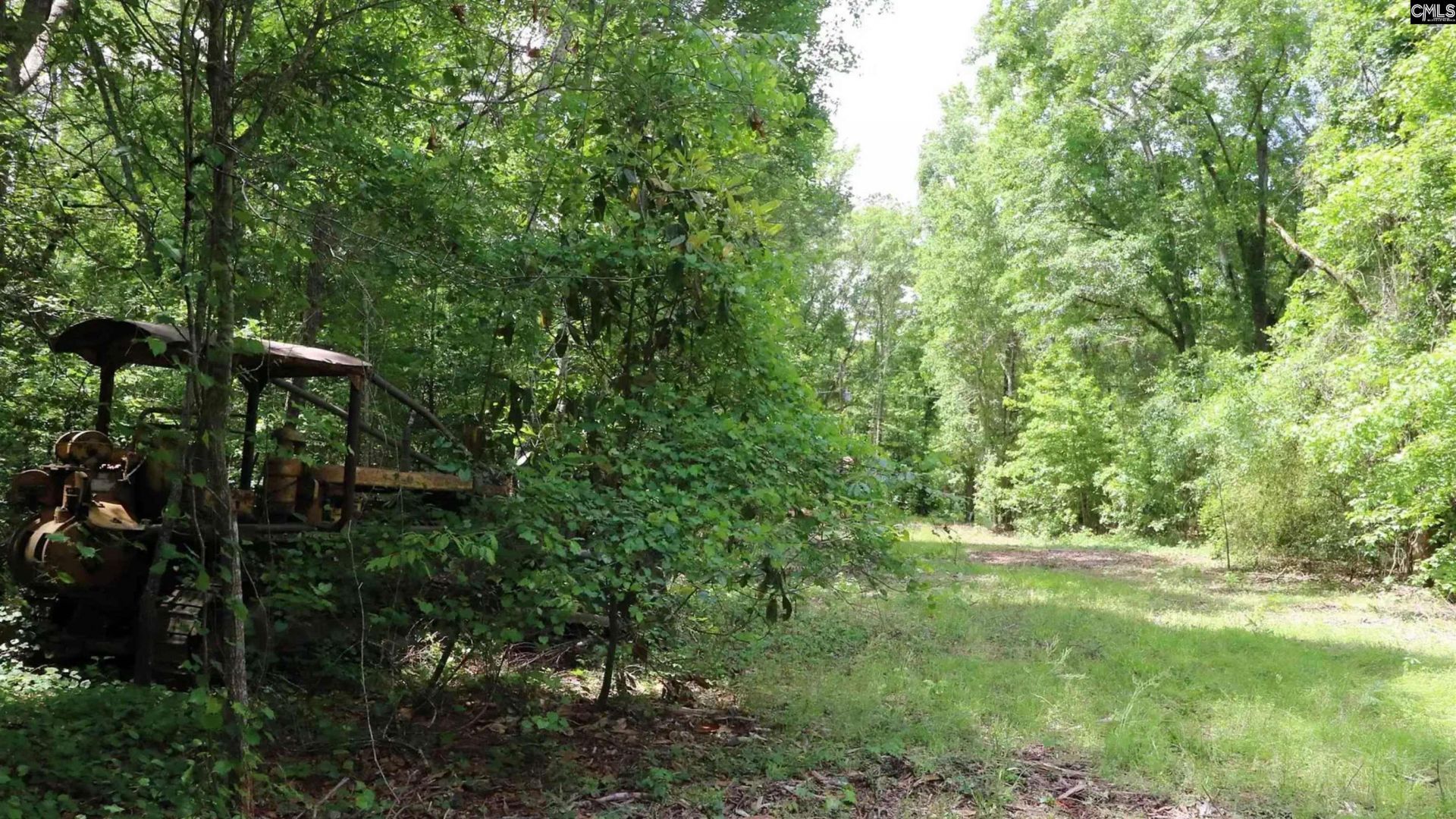 1091 Pine Grove Road  Photo 11
