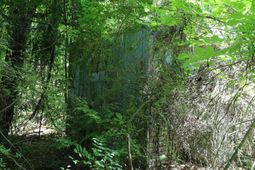 1091 Pine Grove Road  photo 4