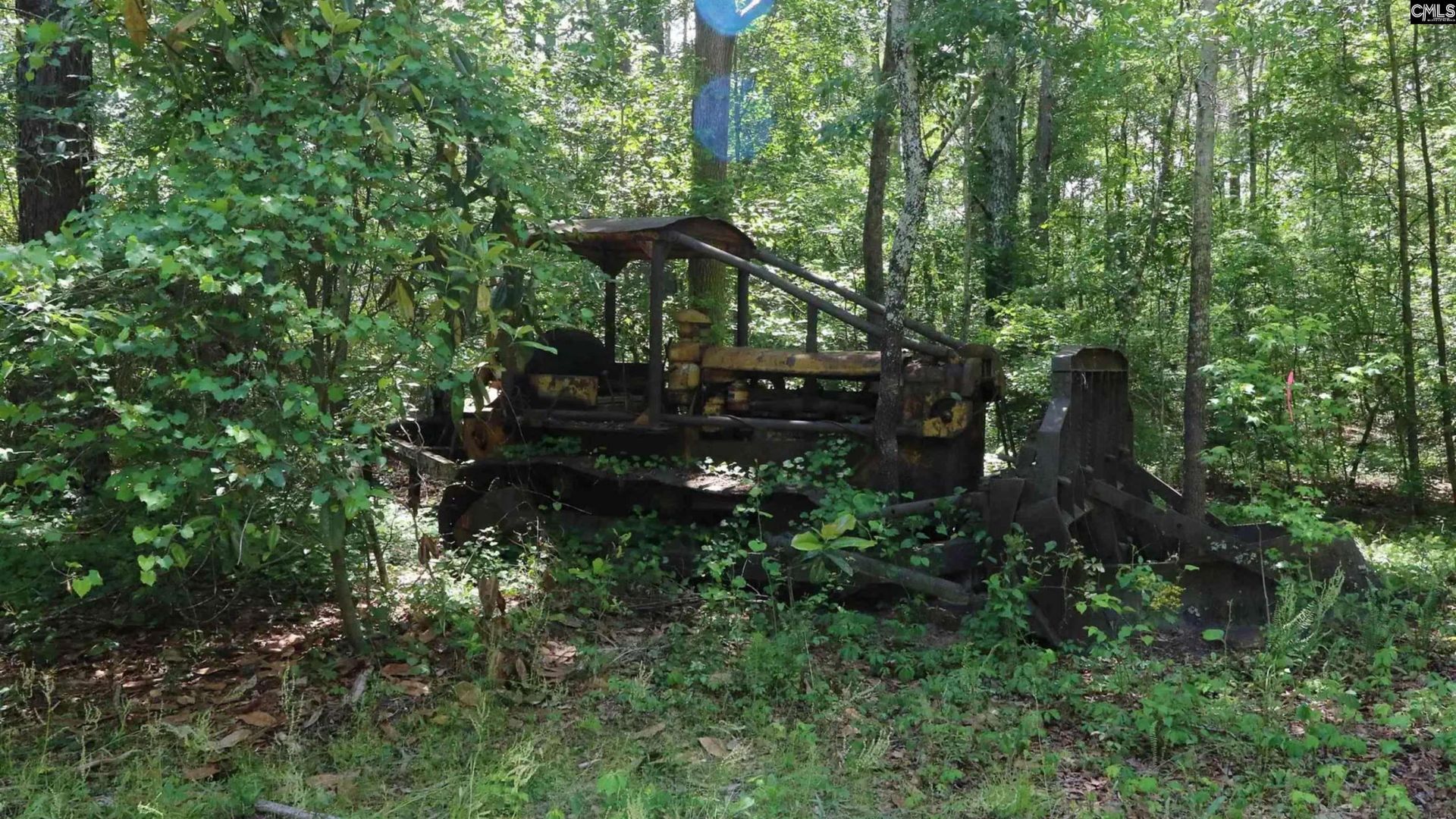 1091 Pine Grove Road  Photo 4