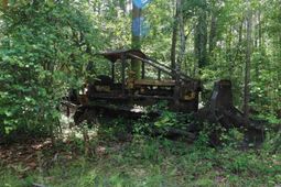 1091 Pine Grove Road  photo 4