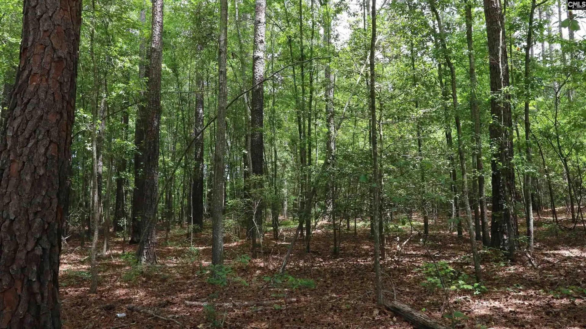 1091 Pine Grove Road  Photo 5