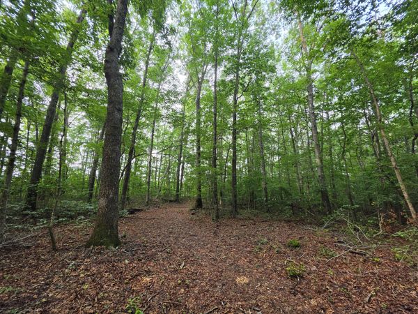 1 Adams Road , Unit 19, Tracy City, TN 37387