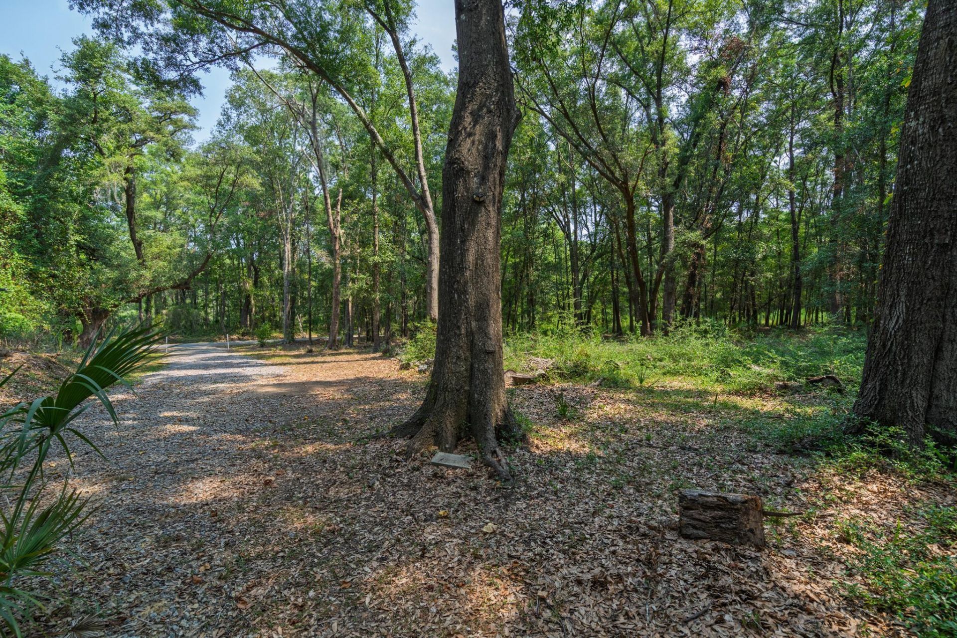 5/5a Shell House Road Photo 6