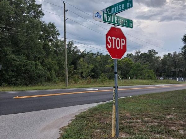 PARK FOREST BOULEVARD , MOUNT DORA, FL 32757