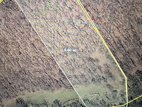 Tbd Duff Patt Highway, Duffield, VA 24244
