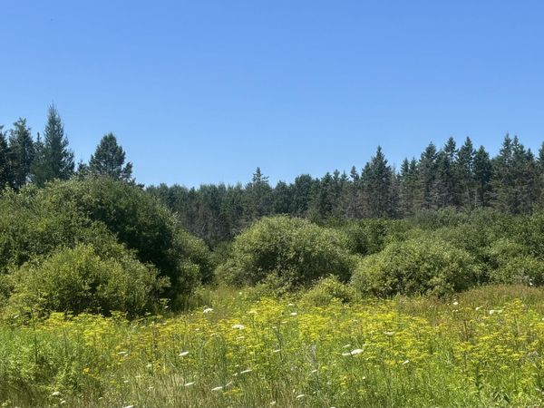 TBD Simmons RD, Hessel, MI 49745