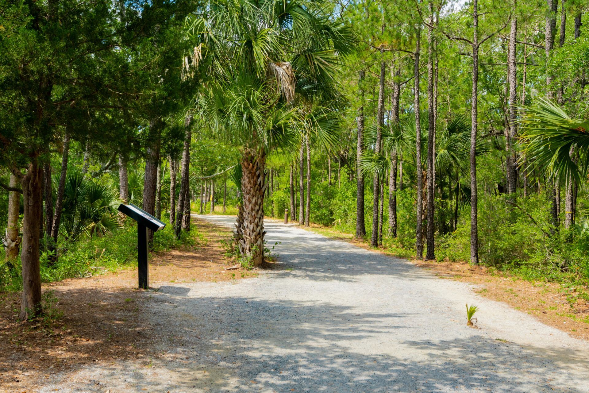 200 River Landing Drive Photo 35