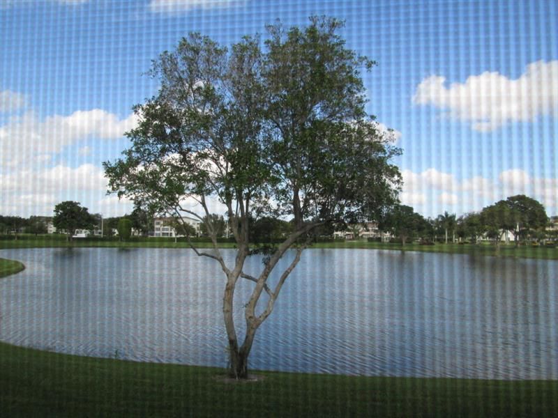 2070 Wolverton D, Unit 2070, Boca Raton, FL 33434 Photo