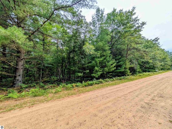 Hillside Drive, Alger, MI 48610