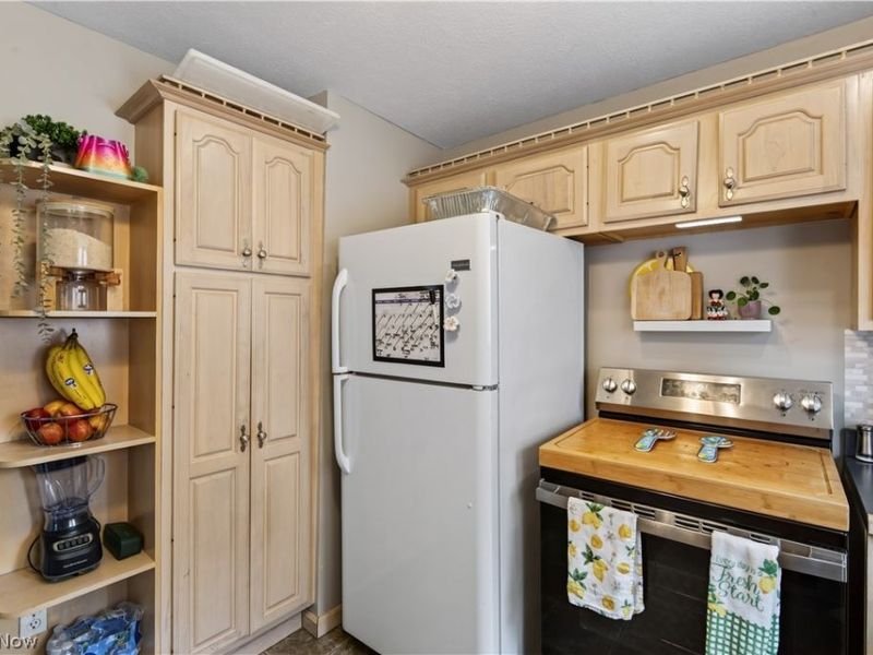 1111 Spring Road, Cleveland, OH 44109 Photo 16