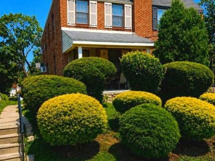 8303 MANSFIELD AVENUE Philadelphia, PA 19150