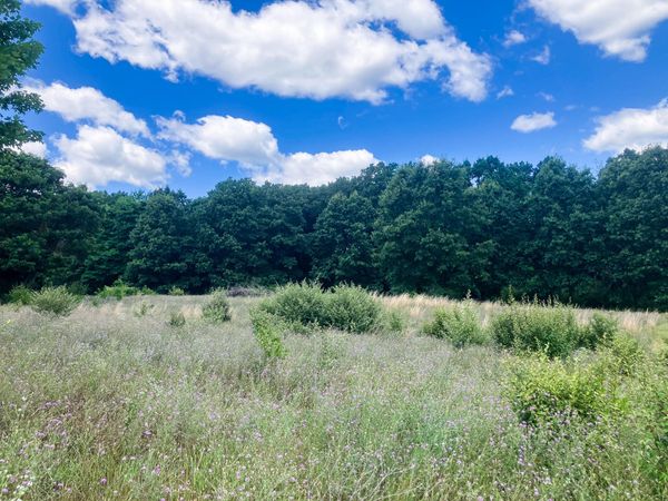 Parcel 9 Leaf Lane, Freeport, MI 49325
