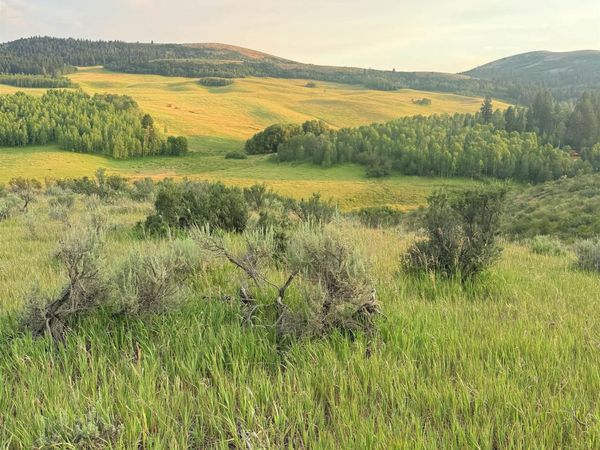 TBD Hoot Owl RD, Inkom, ID 83245