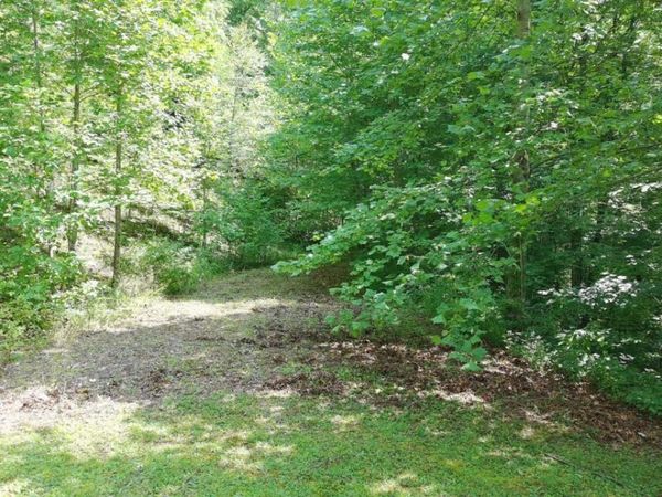 31 & 32 Wolfpen Gap Road, Hiawassee, GA 30546