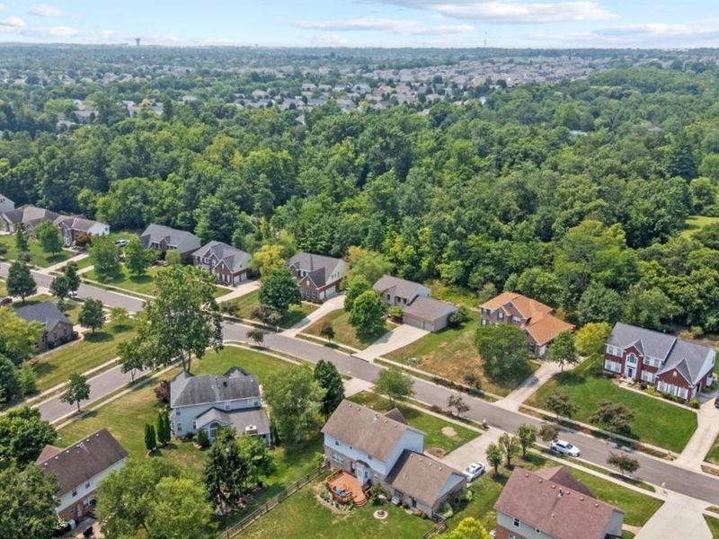 3175 Spalding Drive, Mason, OH 45040 Photo 94