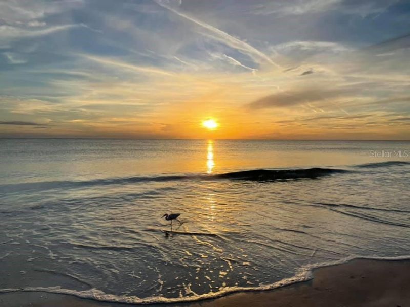2089 Gulf Of Mexico Drive, Unit G1-104, Longboat Key, FL 34228 Photo