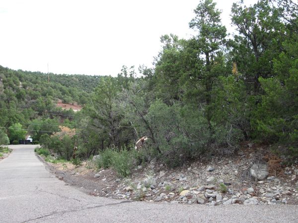 0 Beaver Lane , Cedar Crest, NM 87008