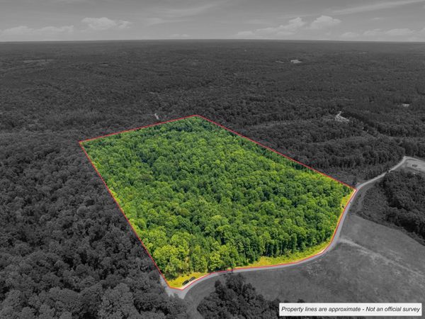 0 Mathis Cemetery Rd, Stewart, TN 37175