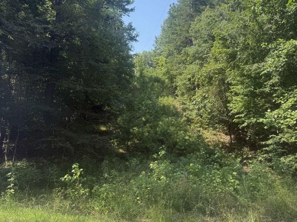 Pin 4158 County Road 136, Cedar Bluff, AL 35959