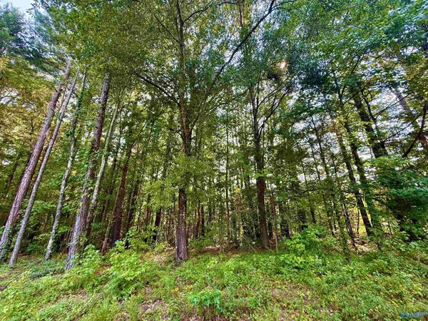 3 Acres Herbert Road, Hartselle, AL 35640