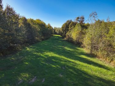 115 County Road 1039 , Bardwell, KY 42023