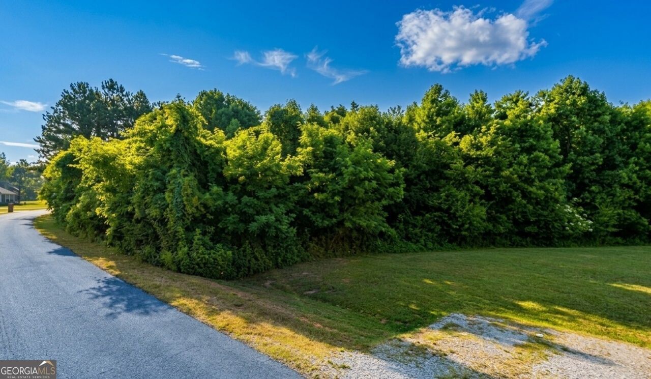 288 Naomi Drive, Rogersville, AL 35652 Main Photo