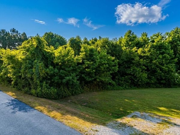288 Naomi Drive, Rogersville, AL 35652