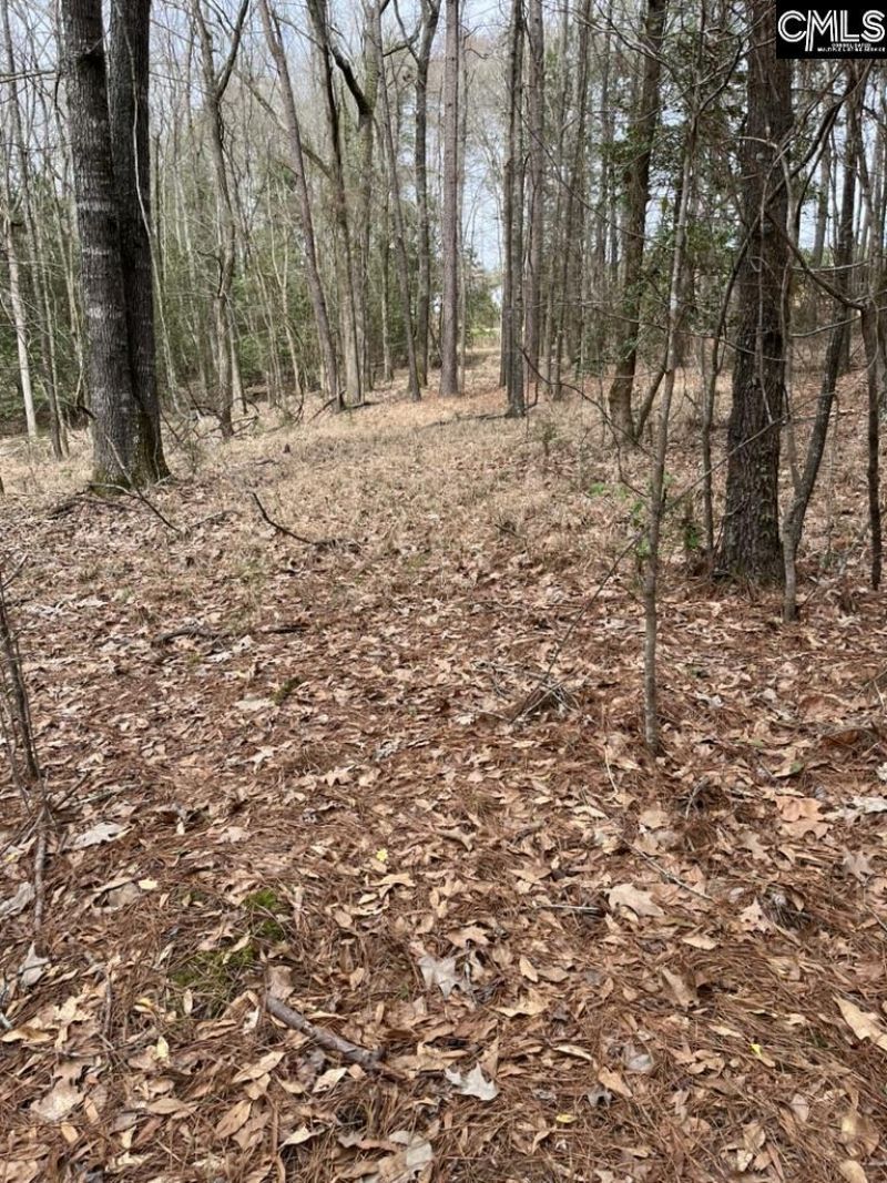 Lot 62 Harbor View Drive  Photo 4