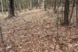 Lot 62 Harbor View Drive  photo 4