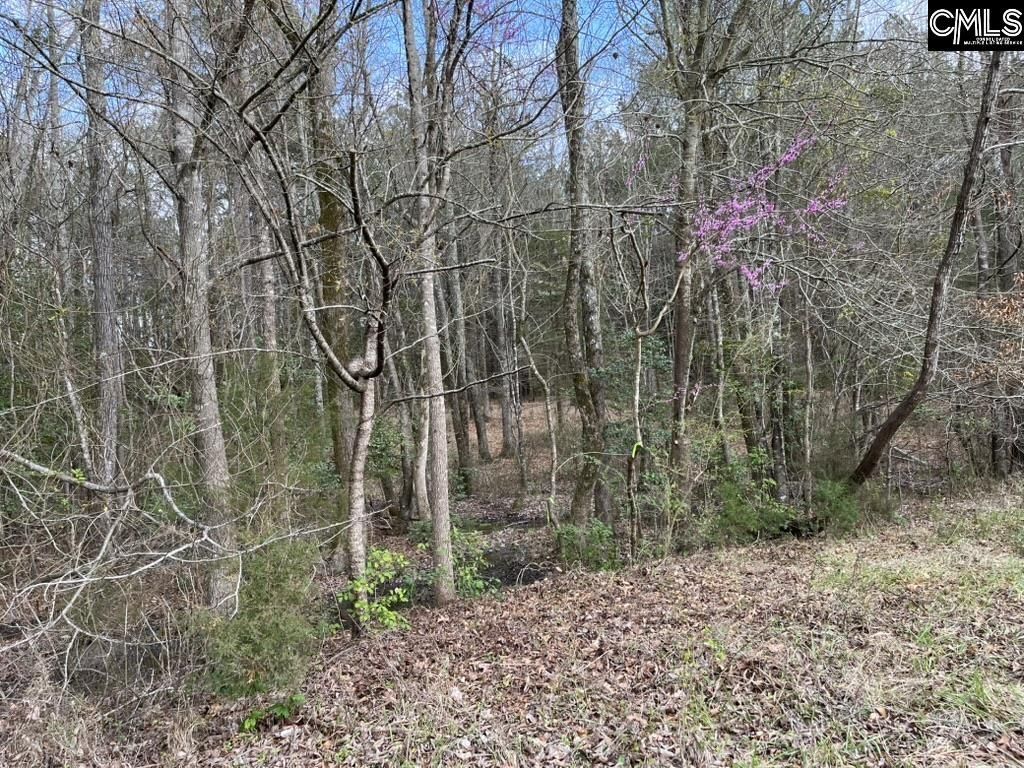 Lot 62 Harbor View Drive  Photo 5
