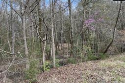 Lot 62 Harbor View Drive  photo 4