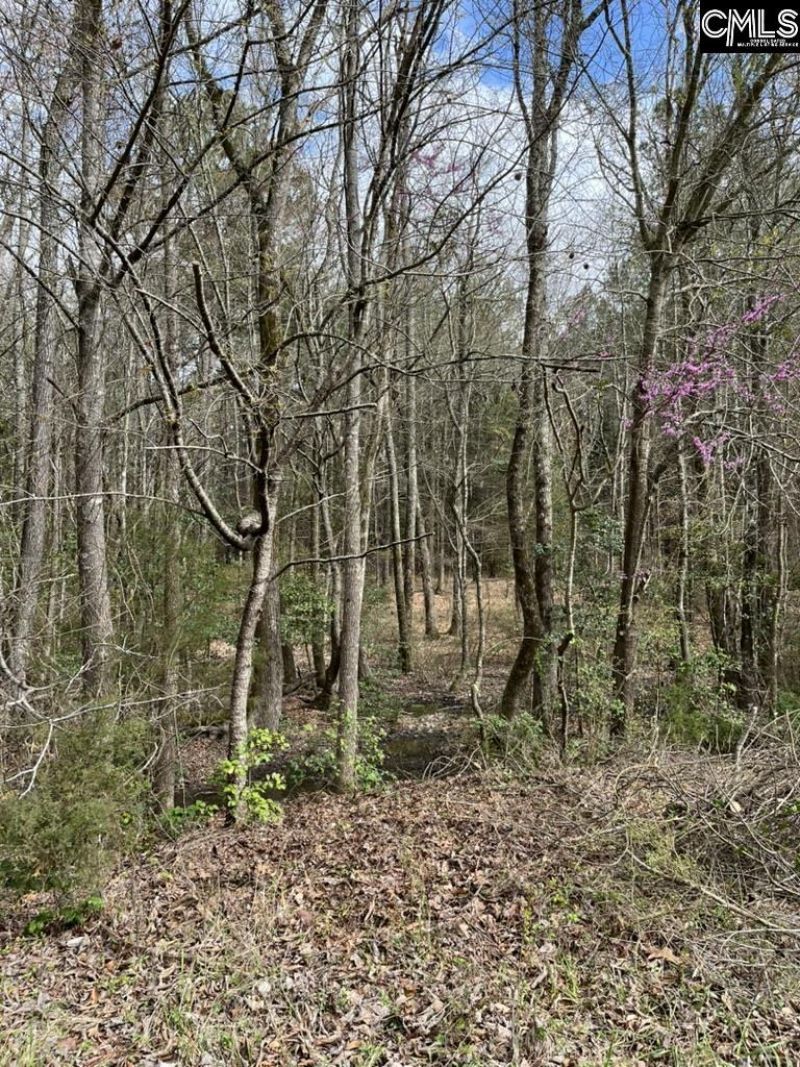Lot 62 Harbor View Drive  Photo 7
